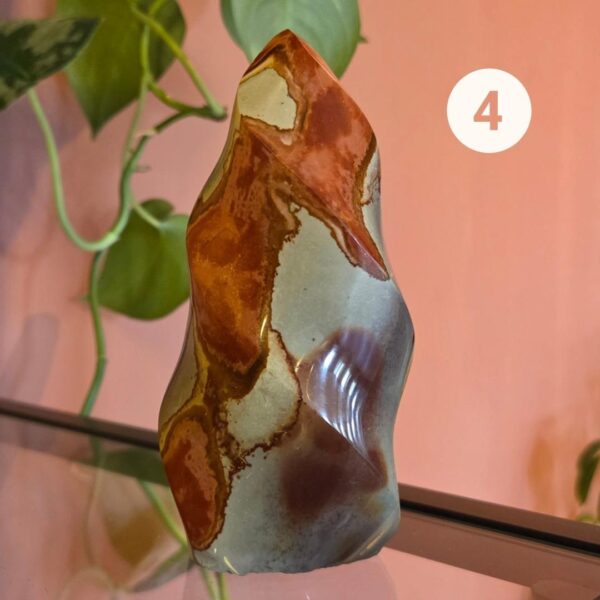 21 Jaspis polychroom - groot