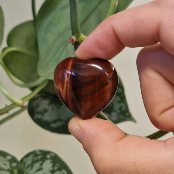 Rode Tijgeroog hart Edelstenen Pure cacao spirituele edelstenen webshop