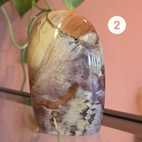 versteend hout interieur stuk kristallen Edelstenen Pure cacao webshop