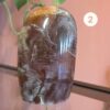 versteend hout interieur stuk kristallen Edelstenen Pure cacao webshop