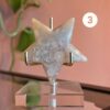 Bloemagaat tot ster geslepen Edelstenen Pure cacao spirituele edelstenen webshop Bloemagaat tot ster geslepen Edelstenen Pure cacao spirituele edelstenen webshop