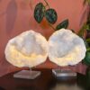 kwarts geode kristallen Edelstenen Pure cacao webshop