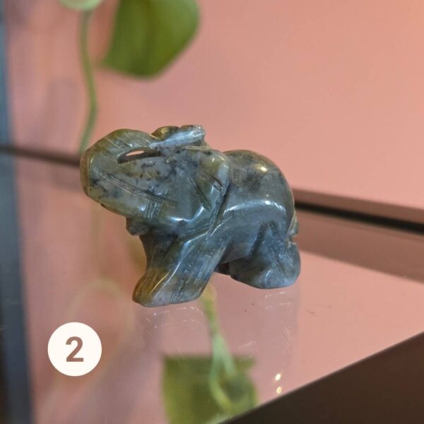 olifant india agaat edelstenen edelsteen webshop pure cacao leeuwarden friesland olifant india agaat edelstenen edelsteen webshop pure cacao leeuwarden friesland