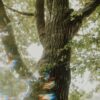 yoga nidra herfst