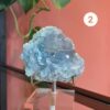 celestien kristallen Edelstenen Pure cacao webshop